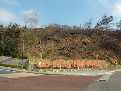 鰲峰山近日火災 新植萬株苗木未受影響