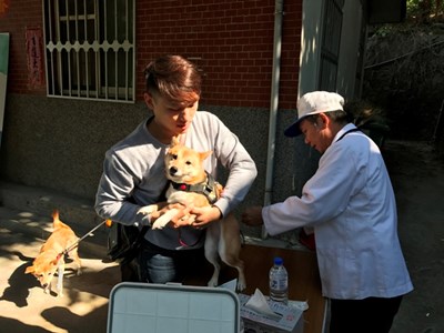 阻絕狂犬病傳播 中市3月份疫苗巡迴注射7日開跑