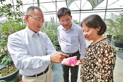 全球首座民間熱帶植物保育園區 林市長邀請辜嚴倬雲植物保種中心參與2018台中花博
