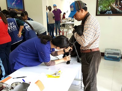 落實犬貓源頭管理 偏鄉犬貓絕育三合一活動加開場次