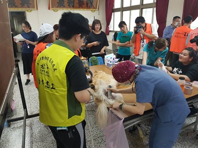 台中首創「駐點犬貓絕育活動」 外埔區百餘頭犬貓完成絕育