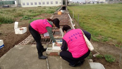 夏日間歇降雨易孳生病媒蚊 中市衛生局籲加強清除積水容器