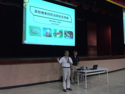 荔枝椿象防治 農業局辦講座傳授技巧