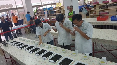優質梨山茶品茗評鑑結果出爐 黃名村獲特等獎