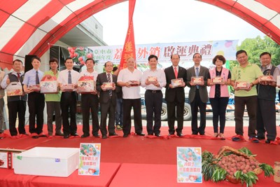 中市50噸荔枝外銷星馬 林市長:將台中品牌推向世界