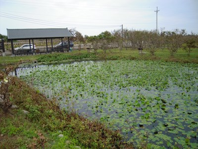 探索湧泉文化與經濟價值 中市府建立基礎資料庫
