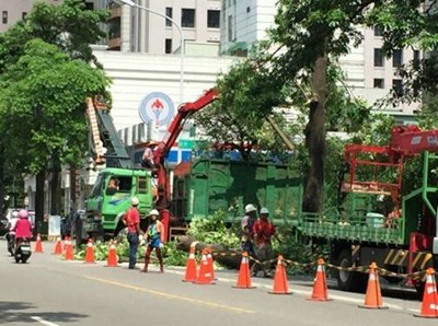 中市改善問題黑板樹 提升人行與交通安全初具成效