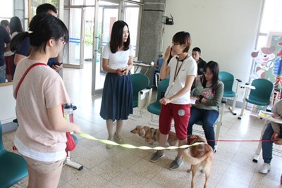 了解寵物行為 3、4期犬隻行為訓練課程開放報名