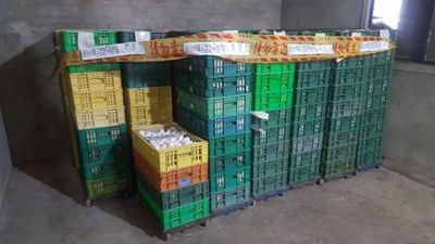 中市高昇畜牧場雞蛋驗出芬普尼殘留 市府依規銷毀並追查出三家下游