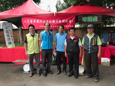 小花蔓澤蘭防治日 全民杜絕外來植物入侵