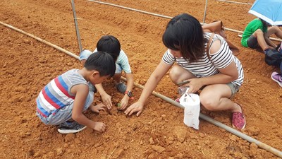 體驗田園樂 教育局辦親子食農教育營