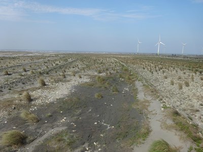 減少河川揚塵空汙 中市府展開防護作業