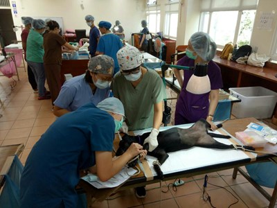 犬貓絕育特約動物醫院自製紅布條誤植網友莞爾 業者已撤下