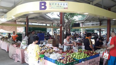 台中新世紀梨北上行銷 果肉細緻清脆香甜獲肯定