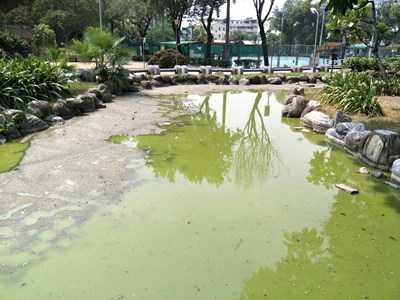 打造生態公園融合12感官遊戲空間 北屯兒童公園改善工程10月底啟動