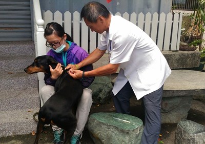 愛護寵物健康 中市10月份疫苗及晶片巡迴注射10/3開跑