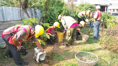 中市防治登革熱總動員 對症下藥降低疫情風險