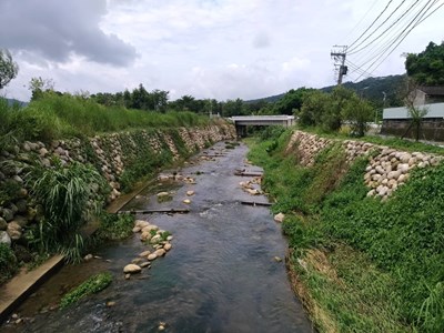 河道綠意盎然