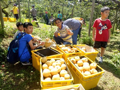 「浪漫台山線四季逍遙遊~客庄採梨趣梨饗東勢GO-梨樹認養慶豐收 迎花博」開幕活動(1)