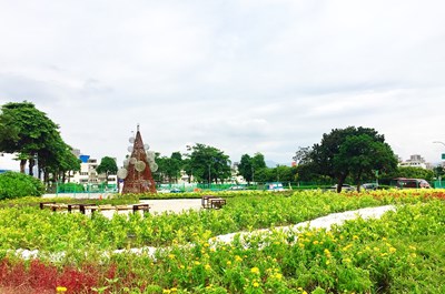 烏日區自治公園小花海