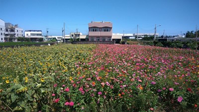 外埔區三環路三崁路附近