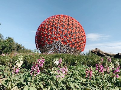 模擬海拔2500公尺以上的高山地景,「走進高山霧林帶,聆聽花開的聲音。」