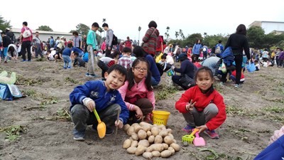 中市府續推搖滾馬鈴薯產業文化活動 多元行銷潭子馬鈴薯