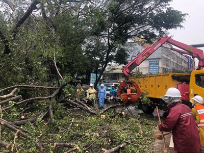 北區國民運樹木倒塌無人受傷 中市建設局清理保持道路安全