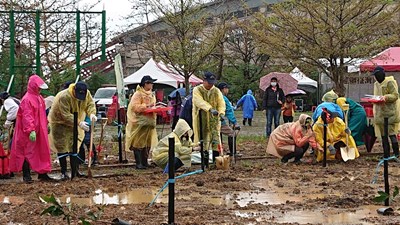 延續台灣原生綠 中市府與中央合辦植樹活動1