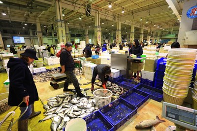台中魚市場拍賣流程不當 中市府建請檢討合理處分並完善市場作業規範