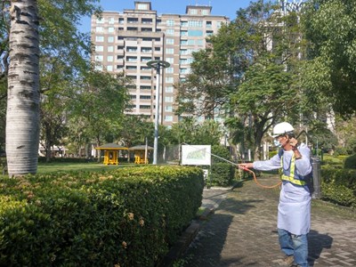 防制荔枝椿象危害 中市府啟動公園及行道樹修剪及化學用藥