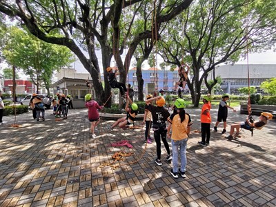 另類學習體驗 神岡豐洲國小攀樹挑戰自我