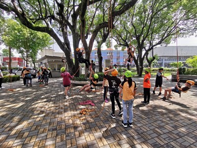 另類學習體驗  神岡豐洲國小攀樹挑戰自我