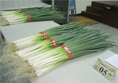 「大安蔥」以多元化行銷通路擦亮品牌,並持續辦理年度優質青蔥評鑑
