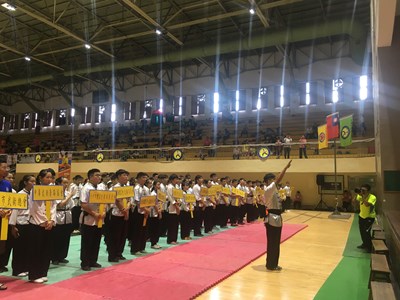 「武」動大台中 世界武術錦標賽中華代表隊選手選拔熱鬧登場