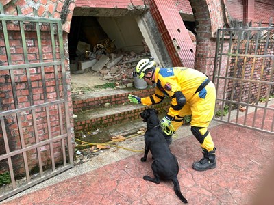台中、台北9位領犬員帶領12隻搜救犬參訓,模擬搜救犬隊國際任務測驗(MRT),並進行從德國引進的路徑追蹤訓練。