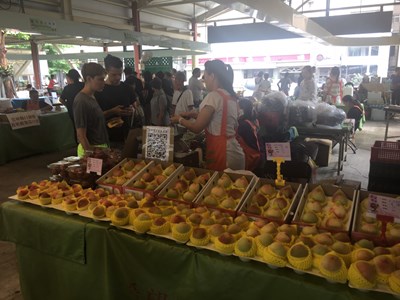 台中市優質葡萄、高接梨、水蜜桃北上展售
