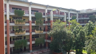 中市府推廣國小綠牆設置 成果獲中央肯定