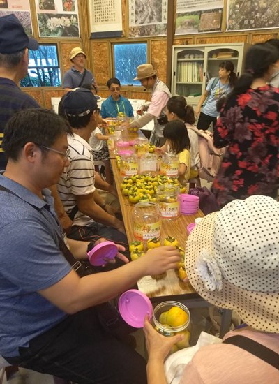 豐原公老坪社區「柿」季饗宴-柿子慶典活動