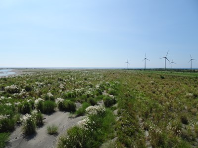 裸露地面積減少有效抑制揚塵