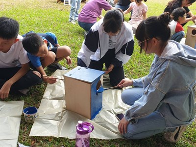 給貓頭鷹一個家 中市教育局推廣友善校園生態教育