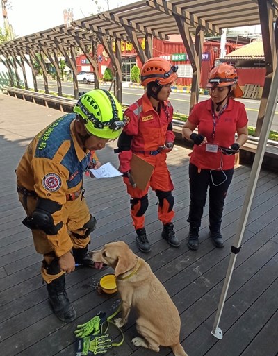 中市搜救犬再獲國際肯定!「鐵雄」通過MRT搜救犬認證測驗