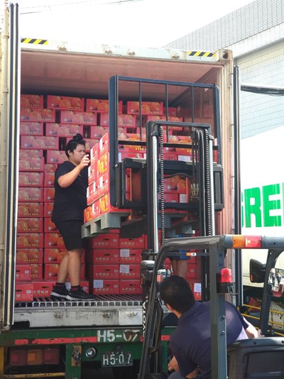台中椪柑外銷印尼、馬來西亞 40噸封櫃啟運