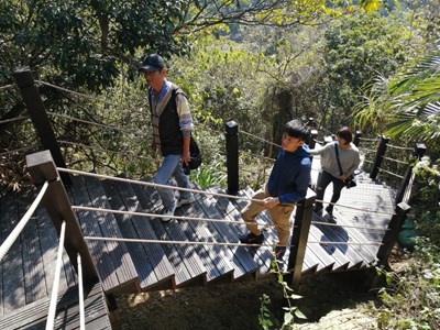 太平區草嶺登山步道-新建置木棧道