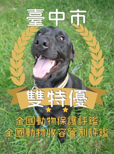 打造友善動物城市  中市獲全國動保評鑑雙特優