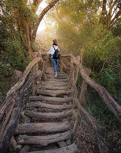 提升登山健行安全與環境 大坑2號步道整修完工