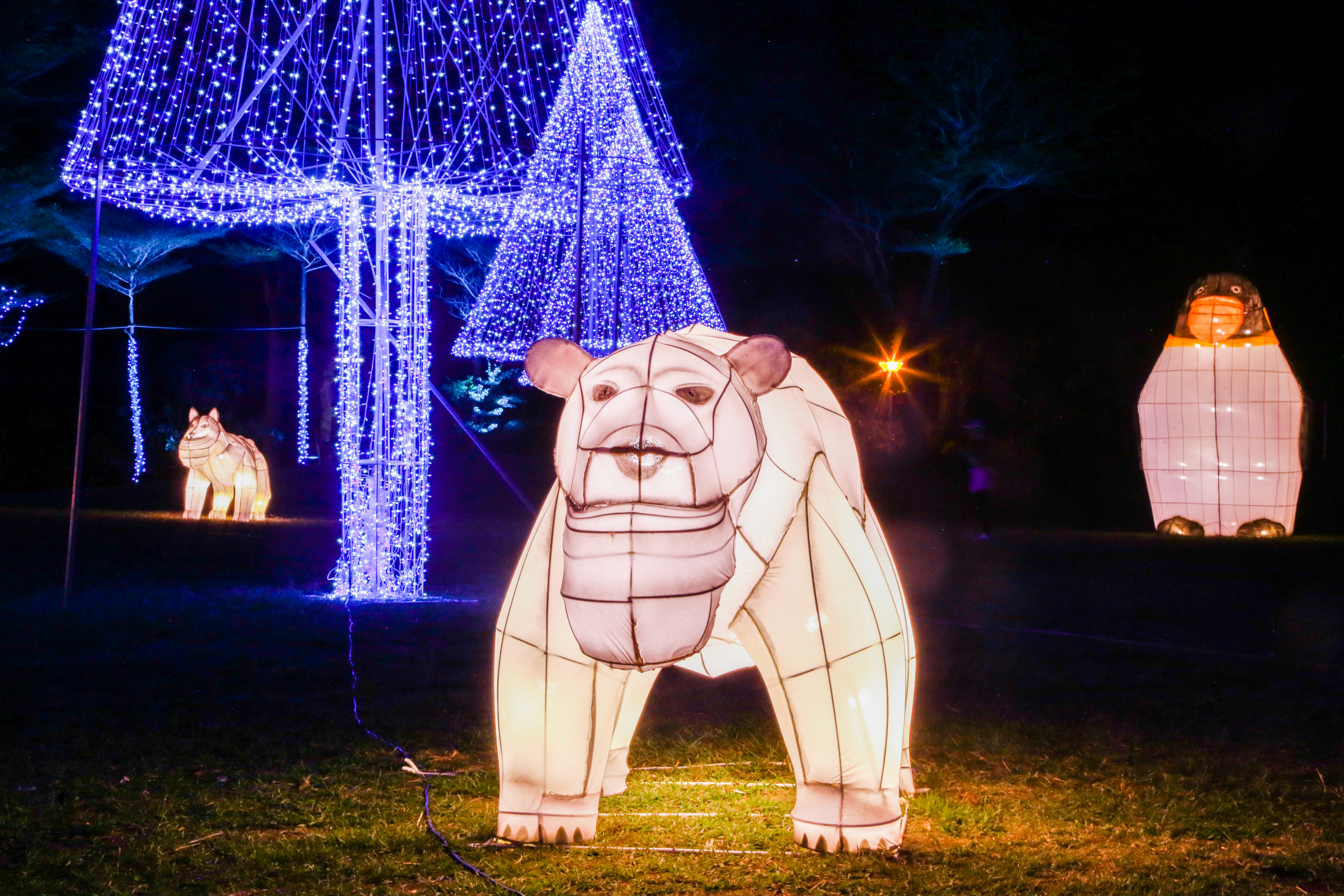 臺中市政府全球資訊網 市政新聞 春節賞燈趣 台灣燈會副展區除夕休園小年夜 初一至五不打烊