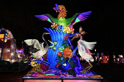 獲得燈王的「鳳凰展翅平安到,牡丹盛開吉祥來」