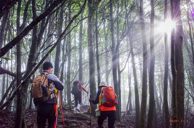 2019谷關七雄登山趣   應山友響應延長至4月底