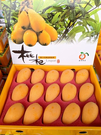 太平枇杷王出爐 最鮮甜枇杷在這裡
